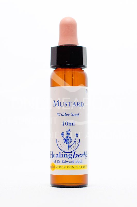 Healing Herbs 21 Mustard (Wilder Senf) Bachblüten Tropfen