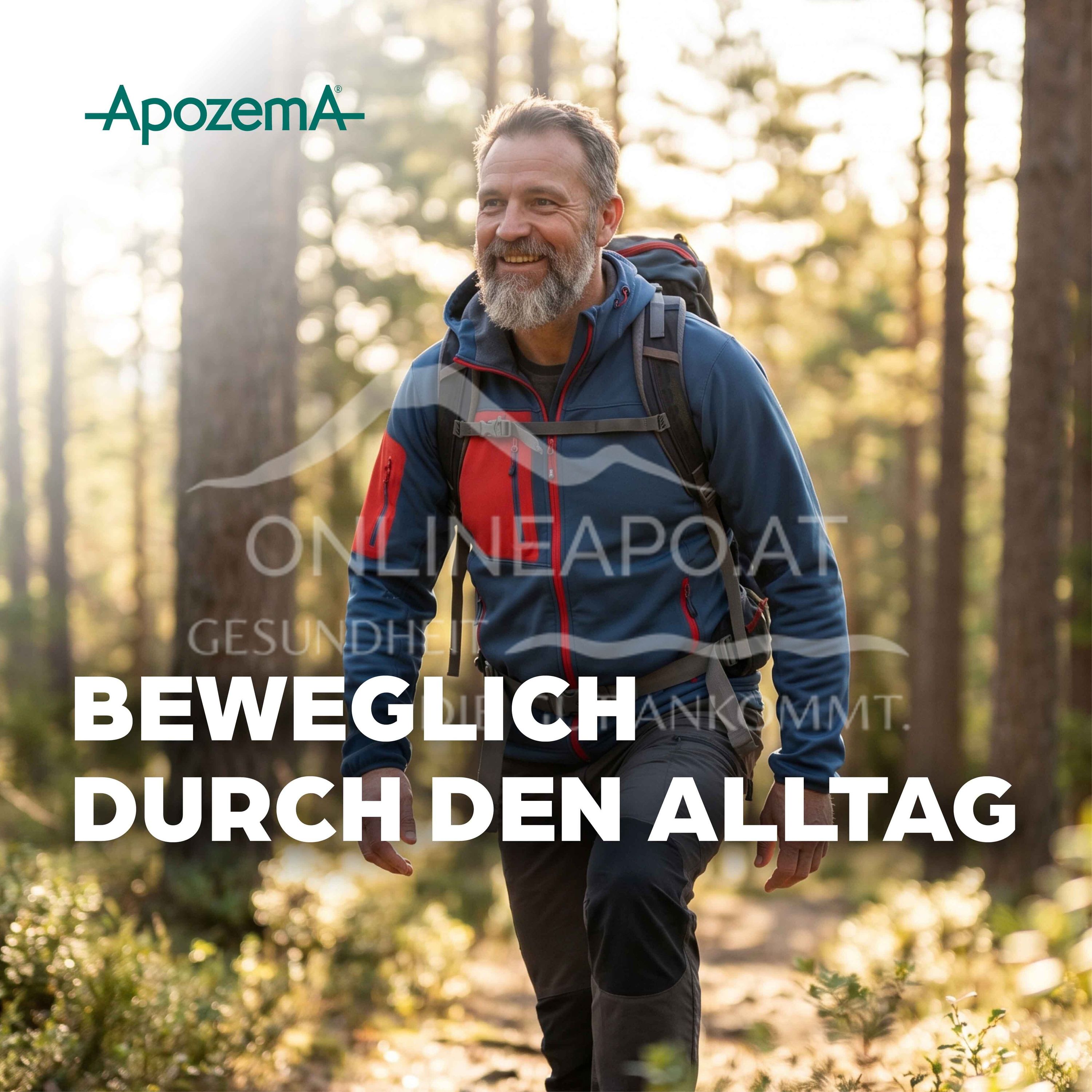 Apozema® Intervertebral disc and joint Bryonia complex No. 6 drops for oral use