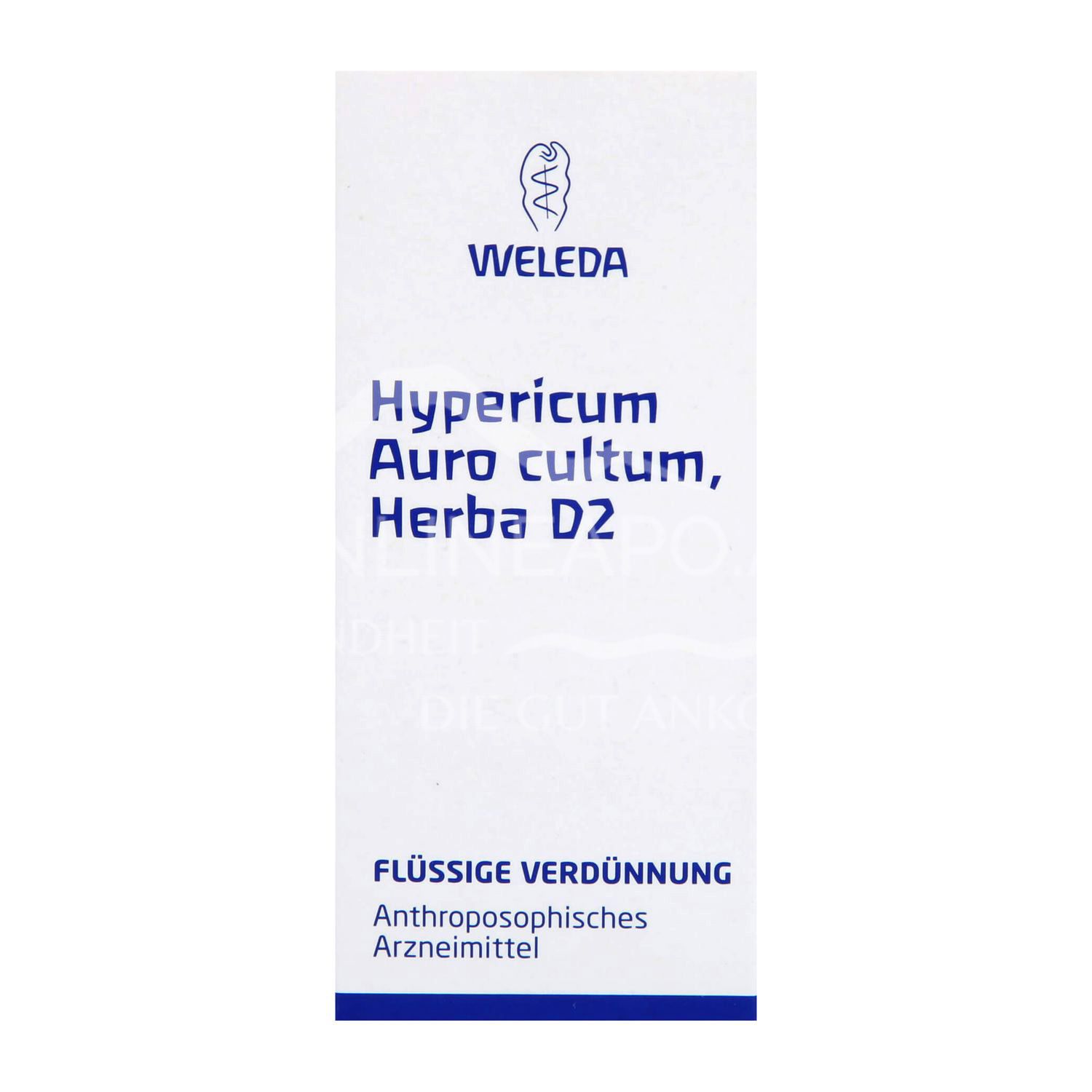 Weleda Hypericum Auro cultum, Herba D2 Liquid Dilution