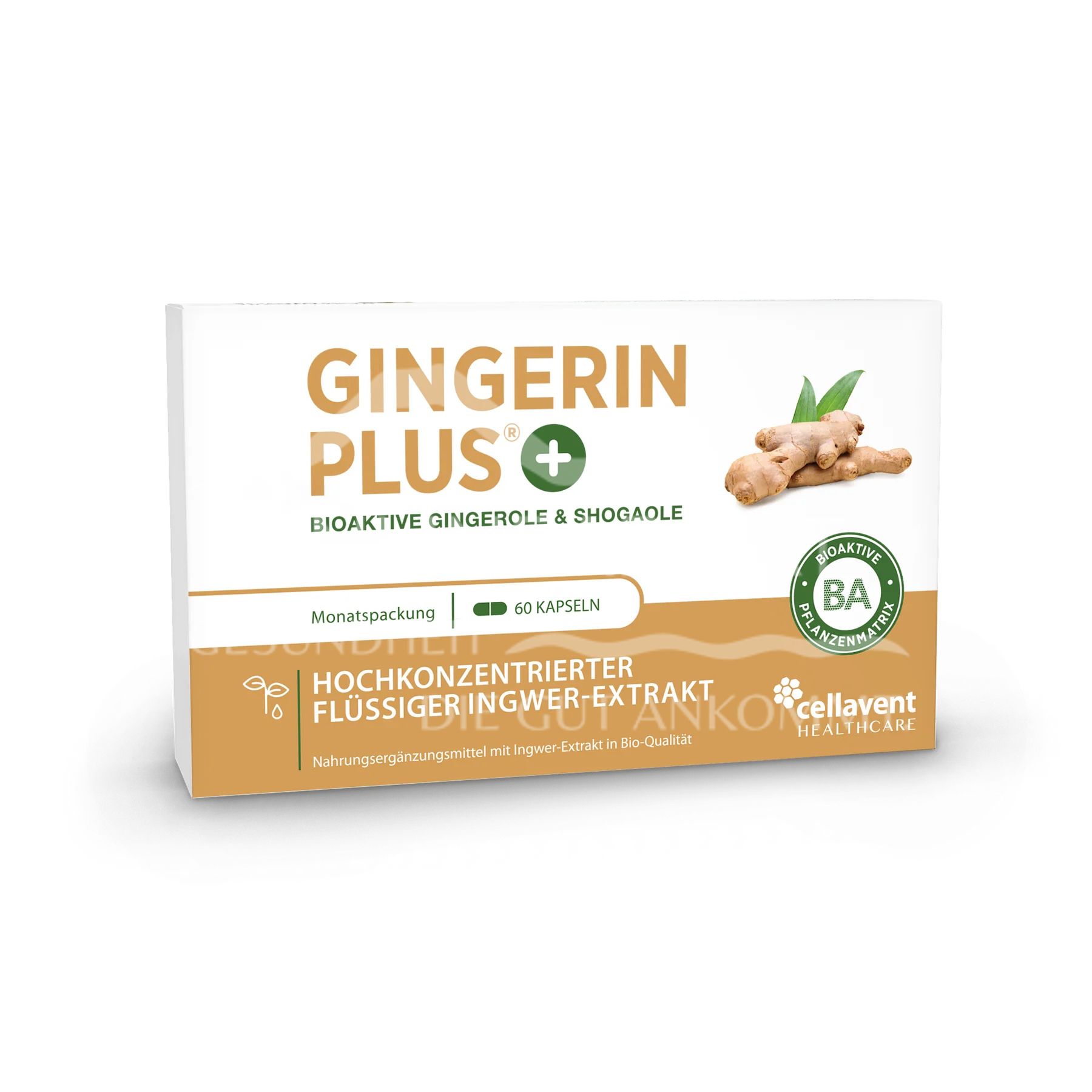 Cellavent Gingerin PLUS Kapseln
