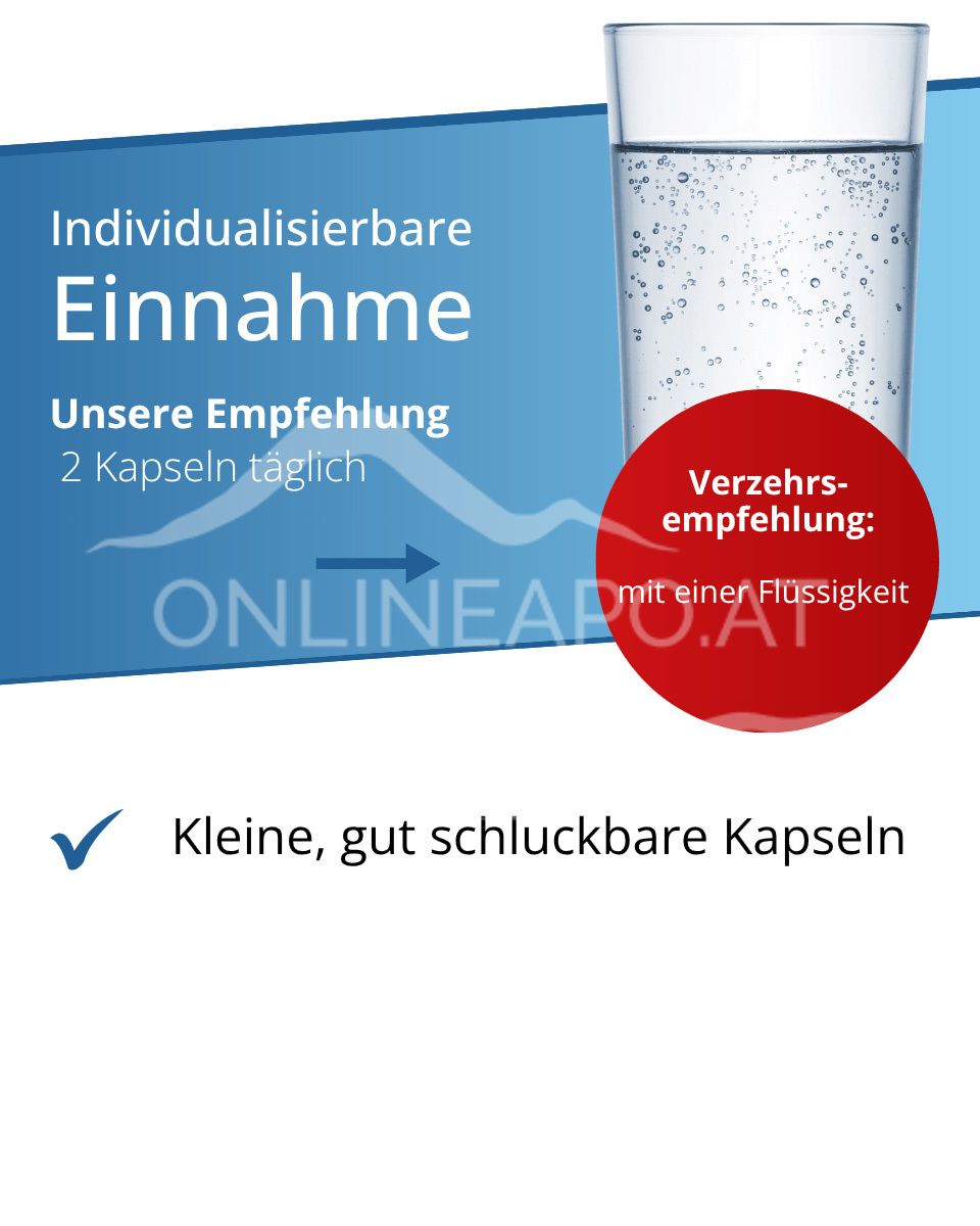 Dr. Wolz Magnesium Komplex Kapseln