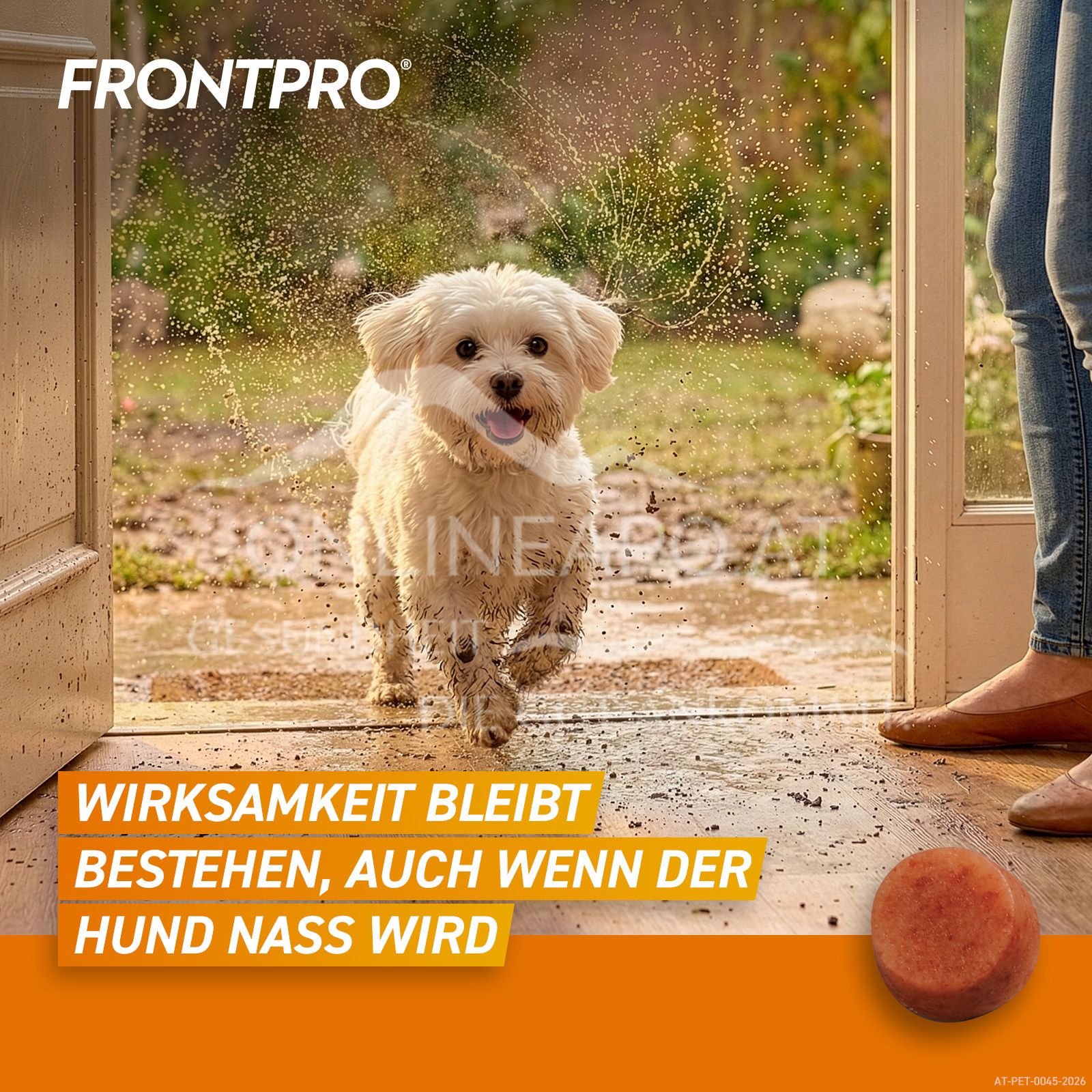 FRONTPRO® 11 mg chewable tablets for dogs 2 - 4 kg