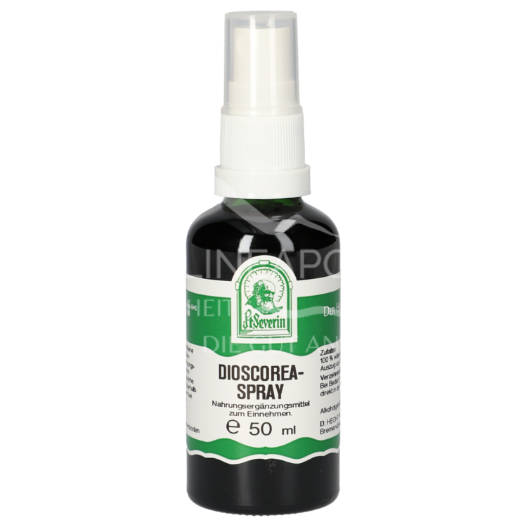 Father Severin Dioscorea Spray
