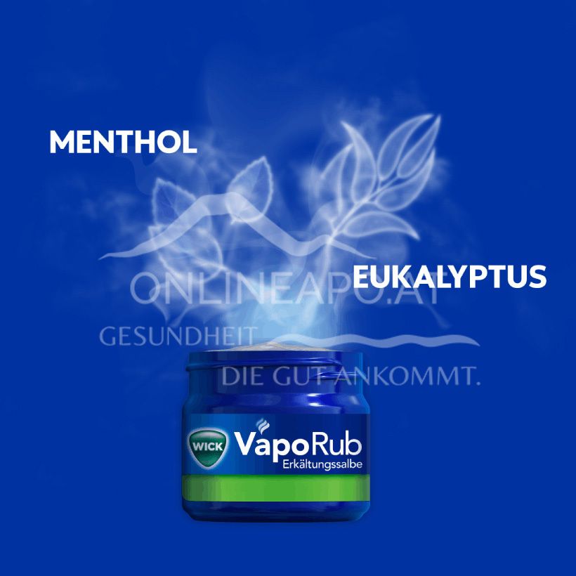 WICK VapoRub Ointment