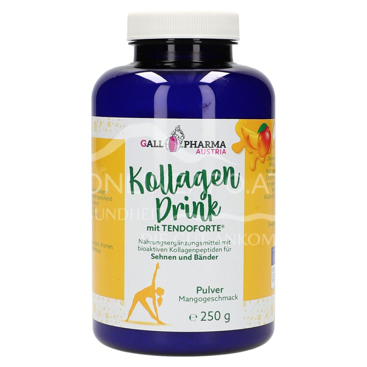 Gall Pharma Kollagen-Drink TENDOFORTE® Mango Pulver