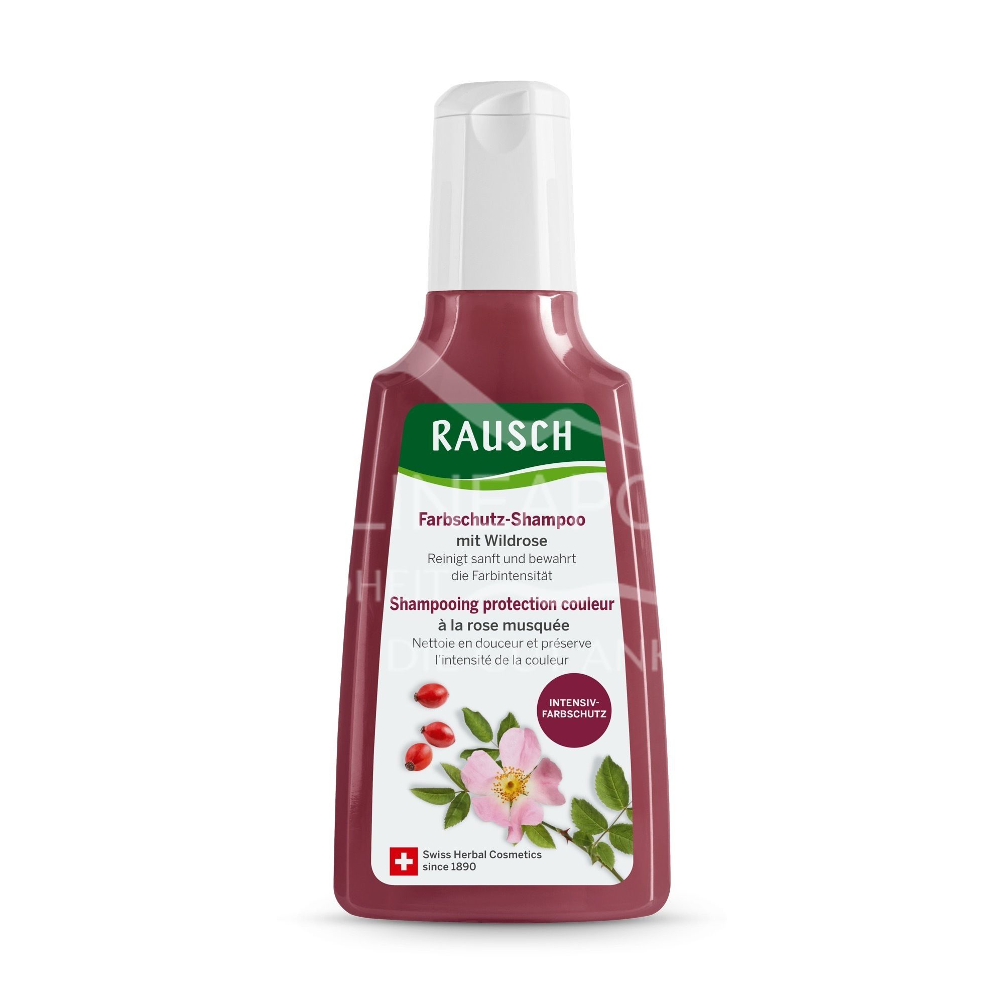 RAUSCH Farbschutz-Shampoo mit Wildrose