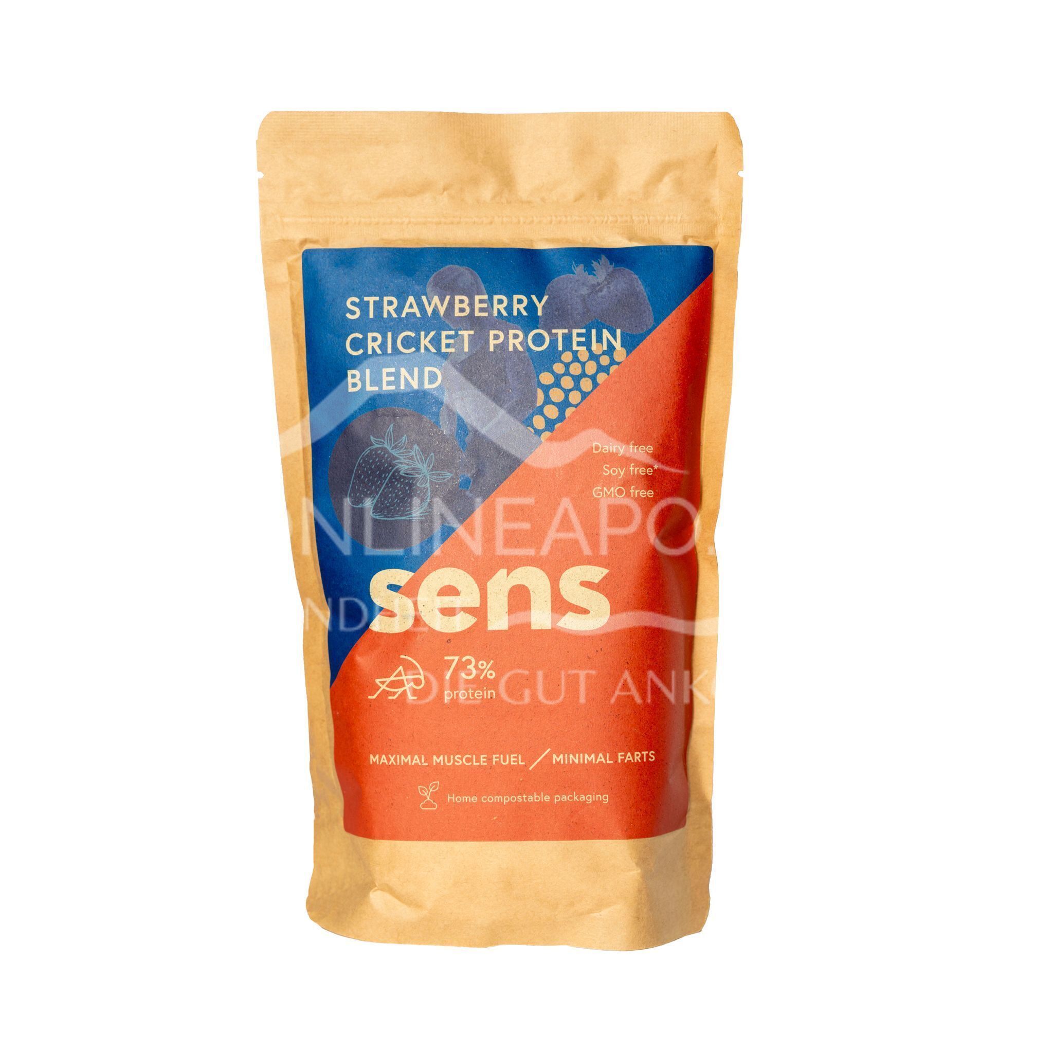 SENS Proteinshake mit Grillenmehl – Erdbeere Pulver