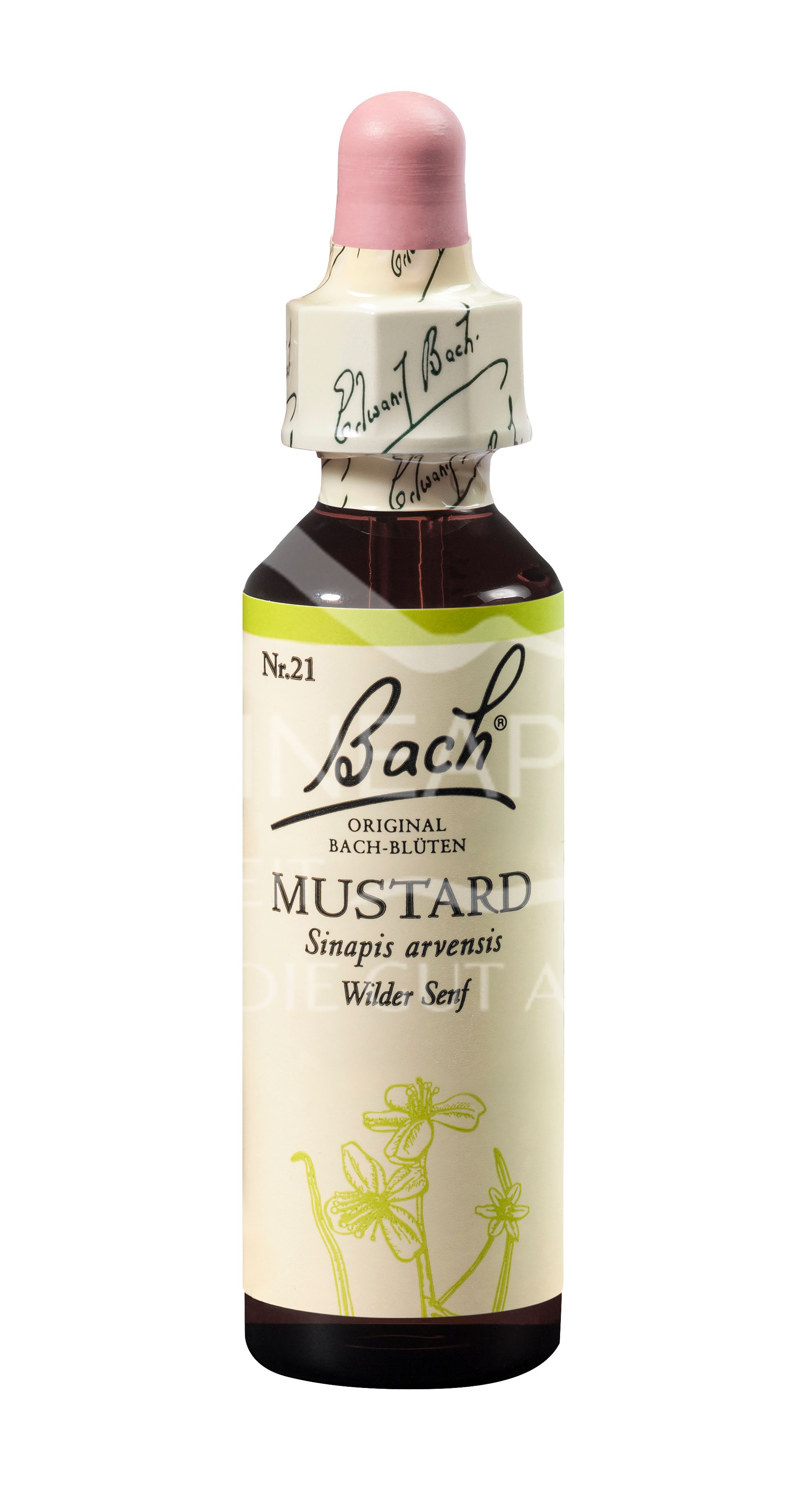 Bach®-Blüte Nr. 21 Mustard (Wilder Senf) Tropfen
