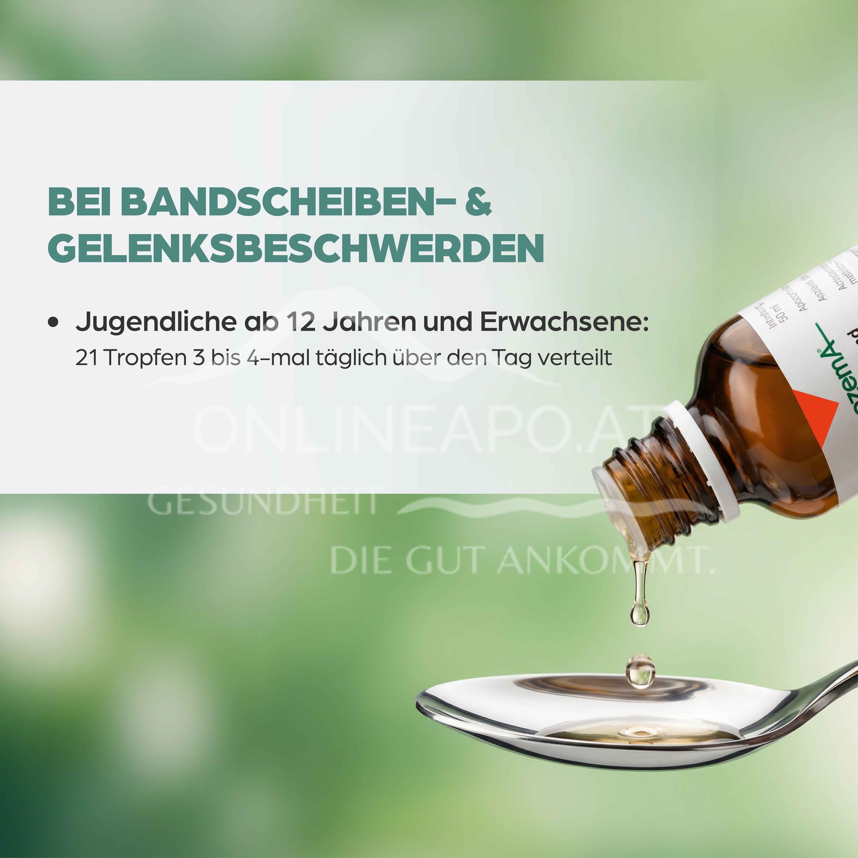Apozema® Intervertebral disc and joint Bryonia complex No. 6 drops for oral use