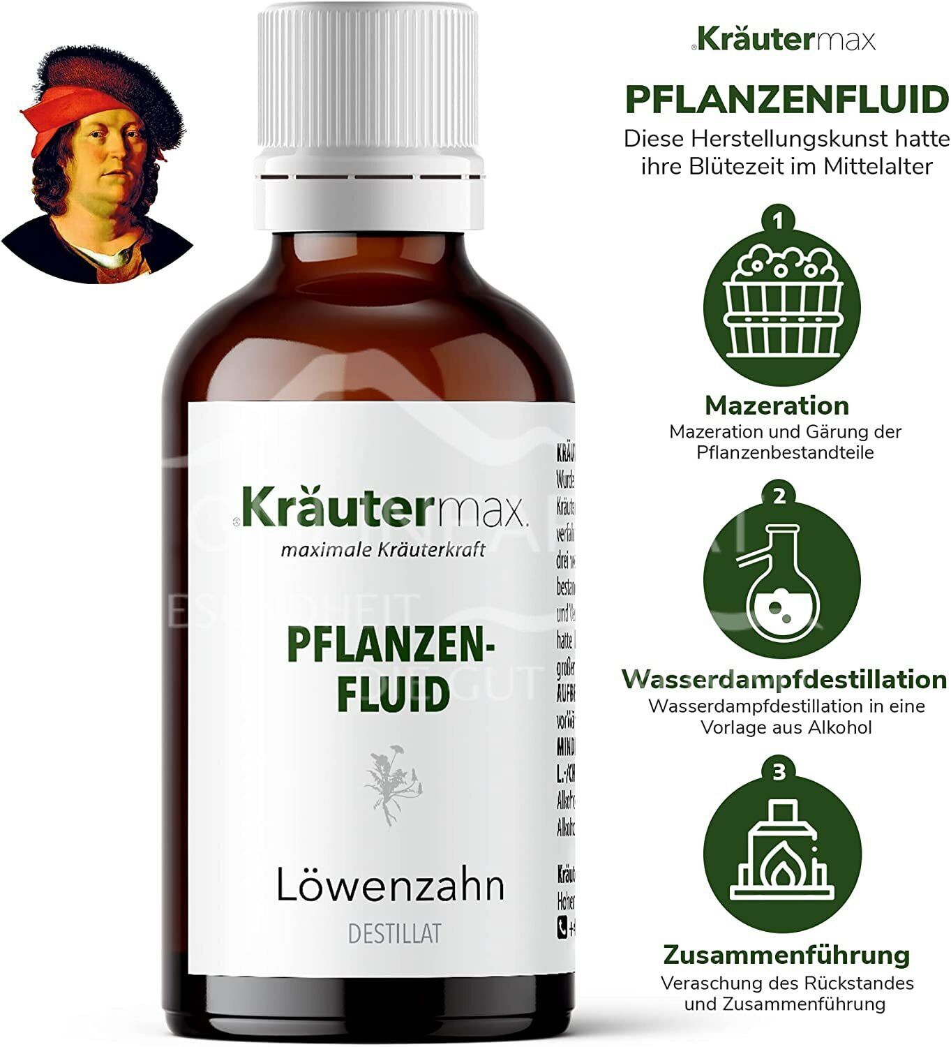 Kräutermax Löwenzahn Tropfen Fluid