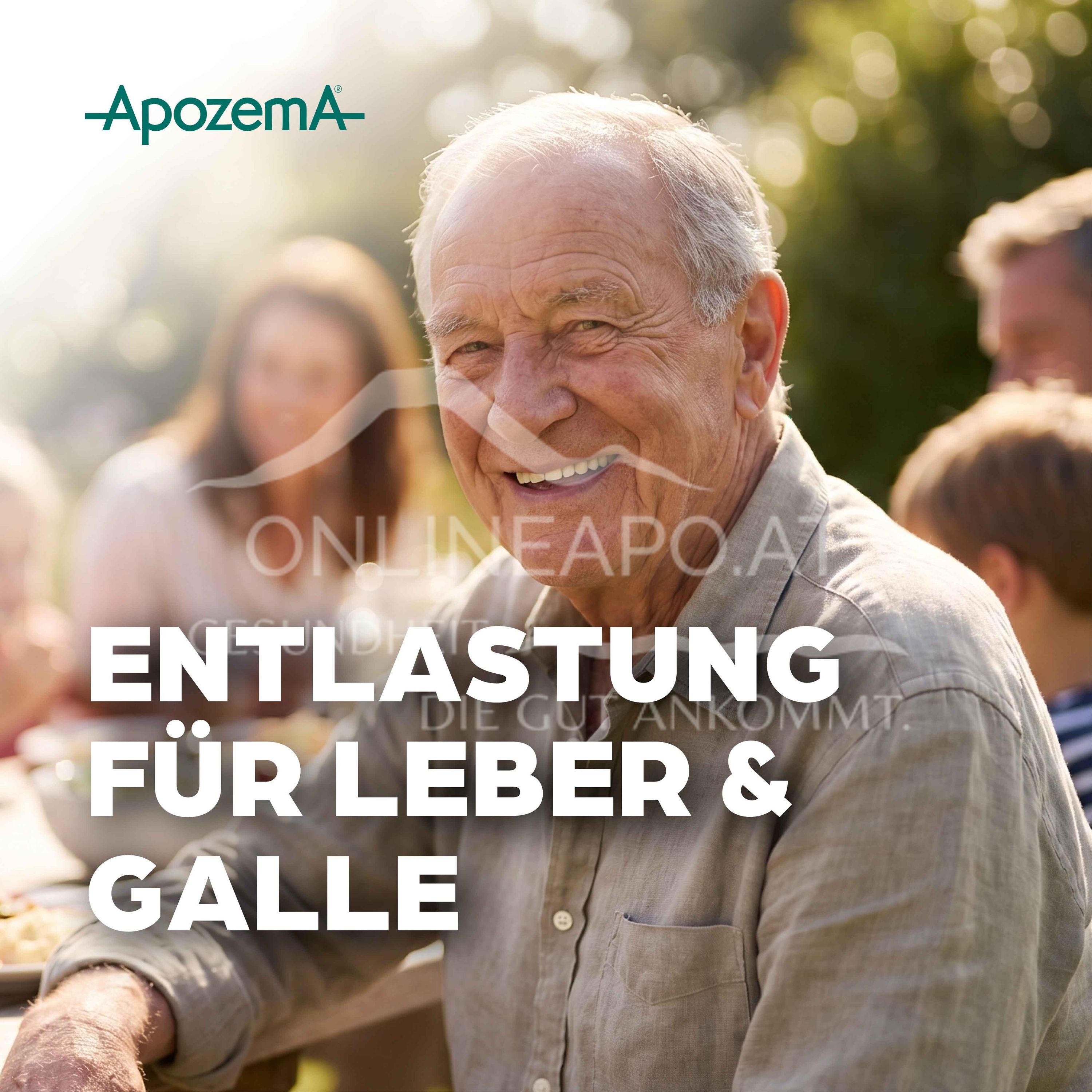 Apozema® Leber und Galle Carduus marianus complex Nr. 21 Tropfen zum Einnehmen