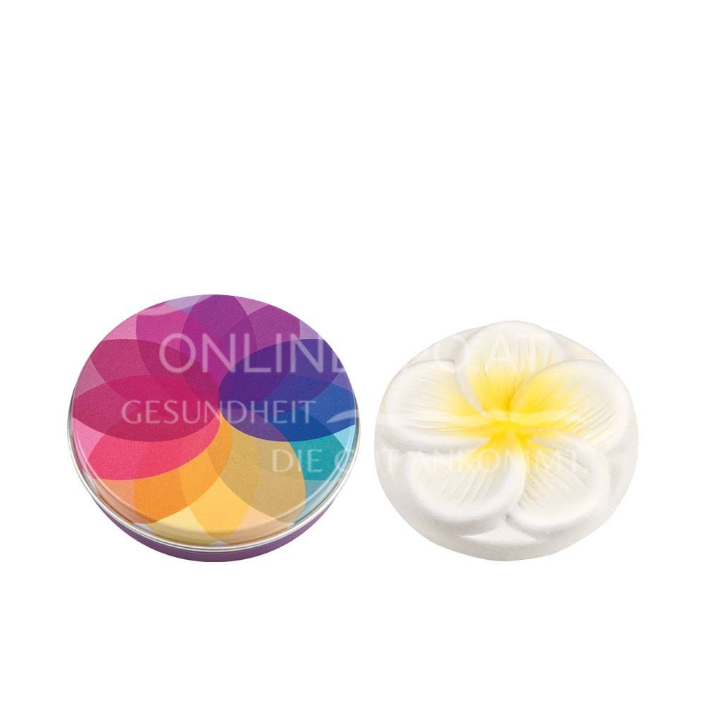 Taoasis Mini Duftstein Frangipani mit Duftsteindose