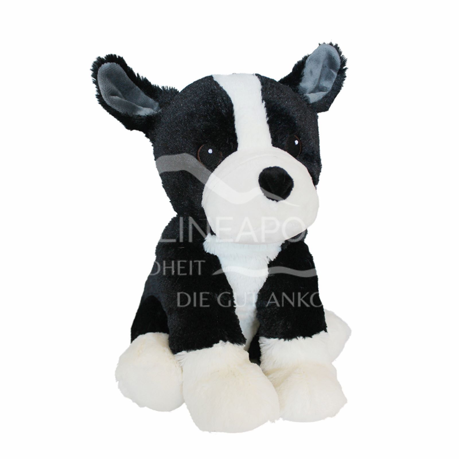 Windschutzscheiben-Aufkleber Boston Terrier - Mit 2 Saugnäpfen