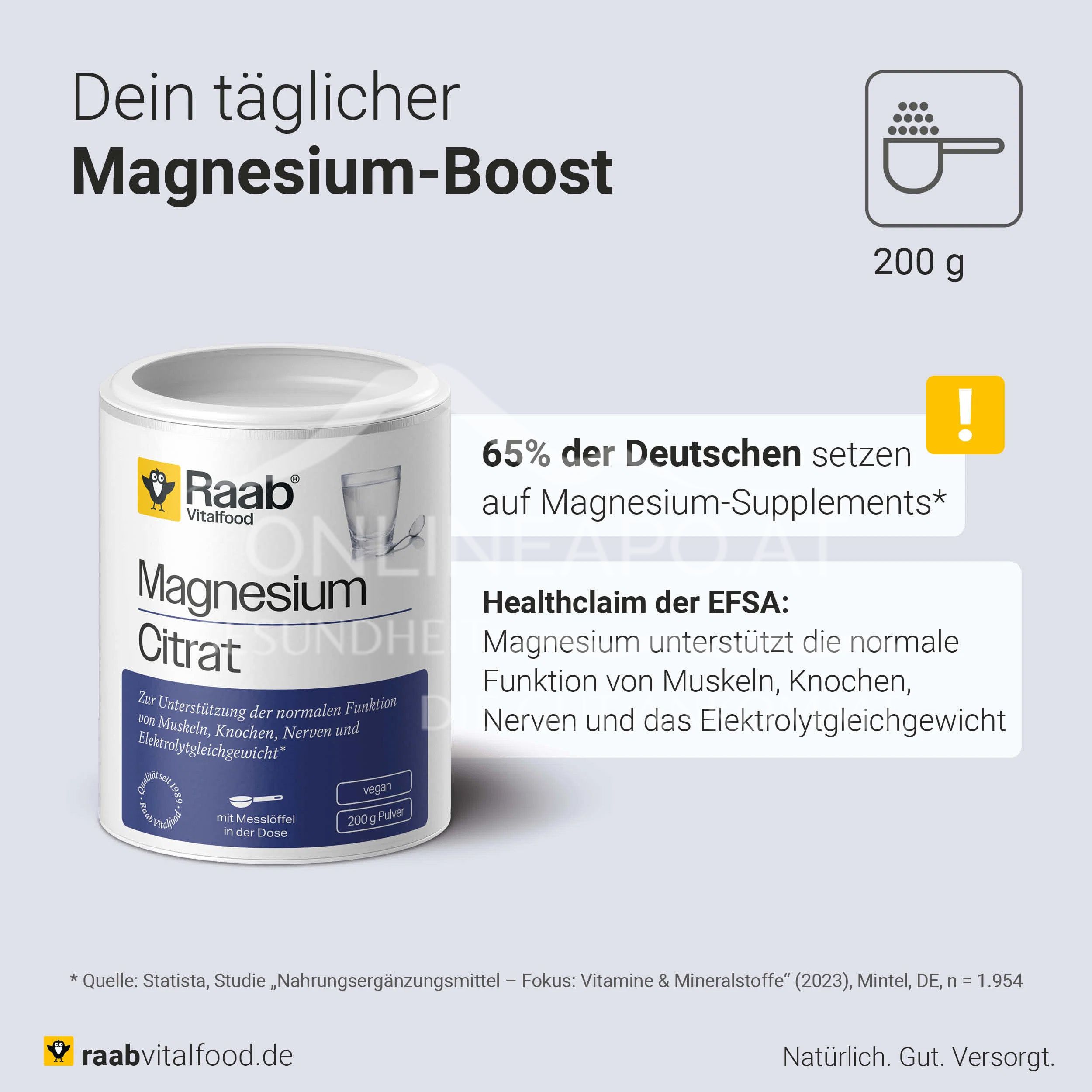 Raab® Vitalfood Magnesiumcitrat Pulver
