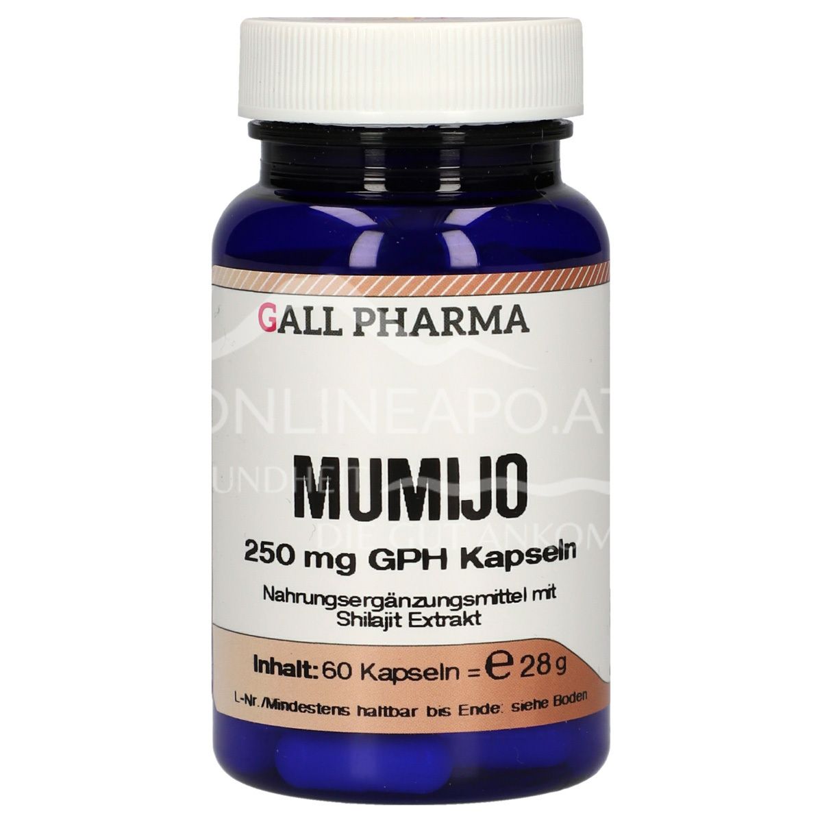 Gall Pharma Mumijo 250 mg Kapseln