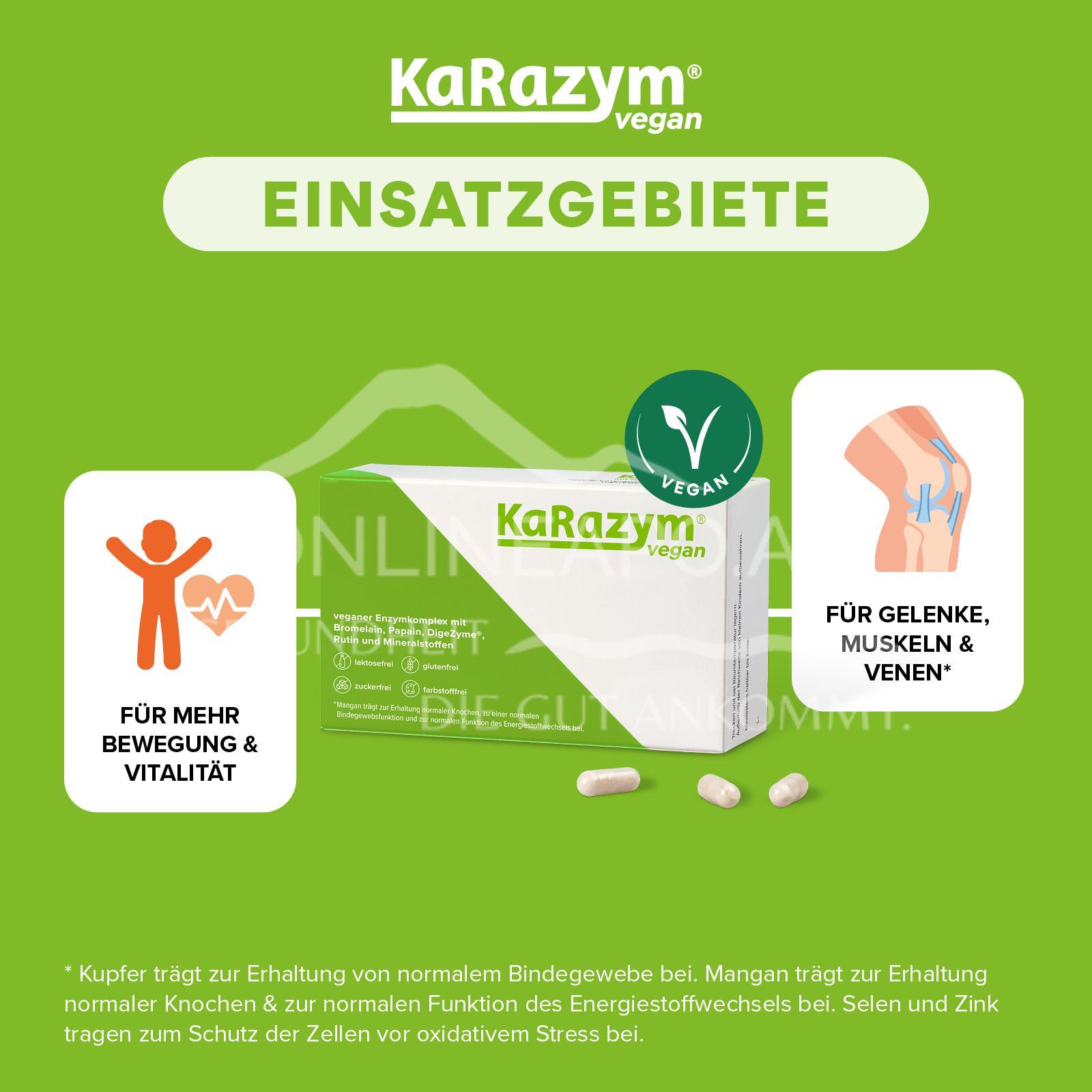 KaRazym® vegan magensaftresistente Kapseln