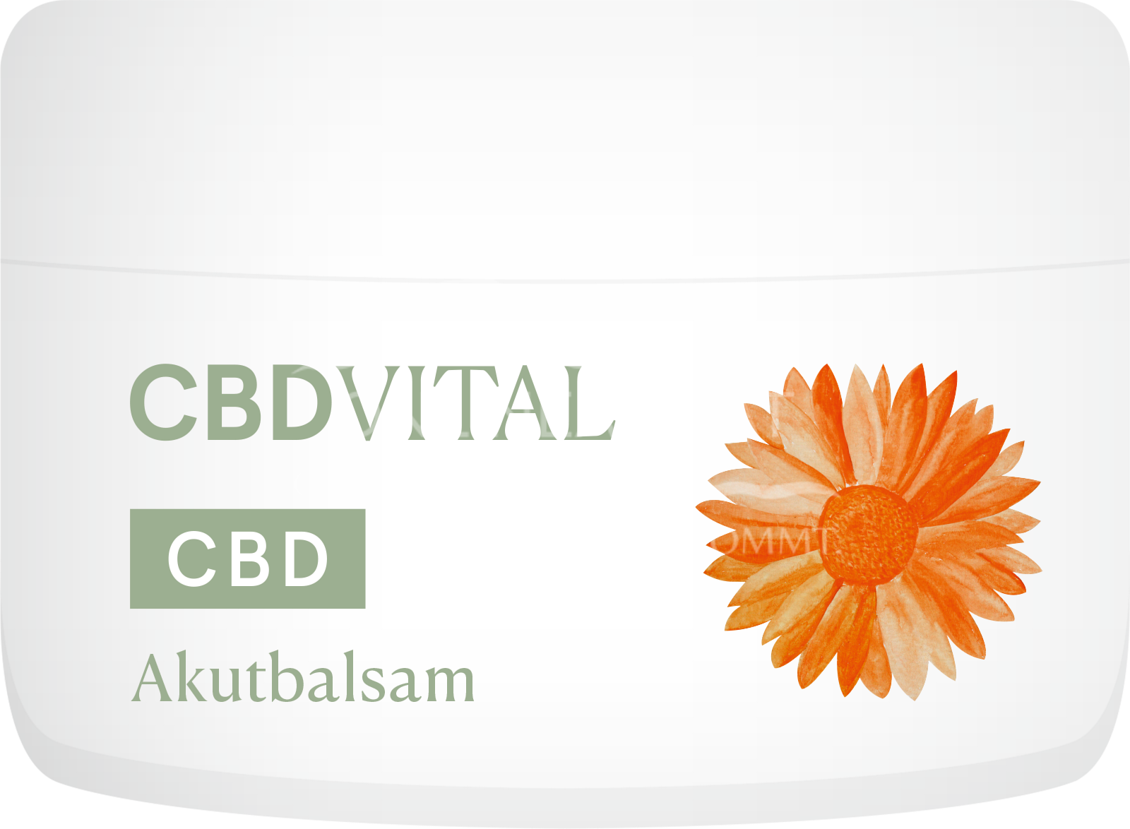 CBD VITAL Acute Balm