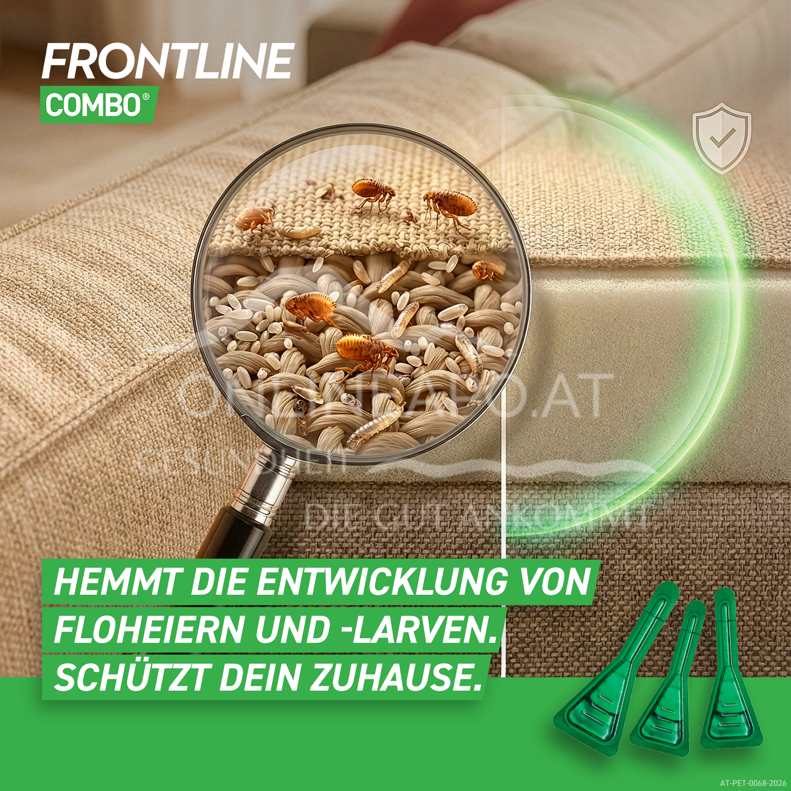 Frontline Combo Spot on cat solution to be dripped onto the skin