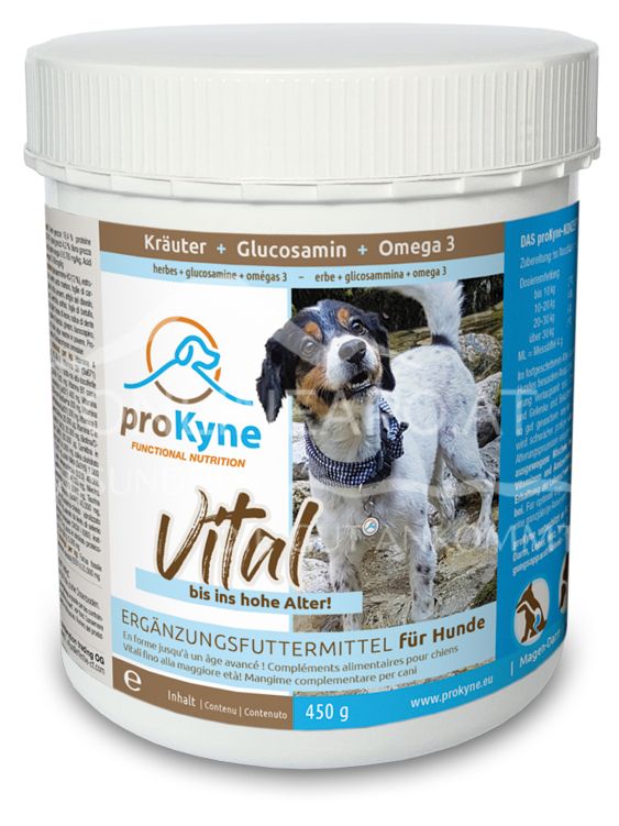 proKyne powder for dogs