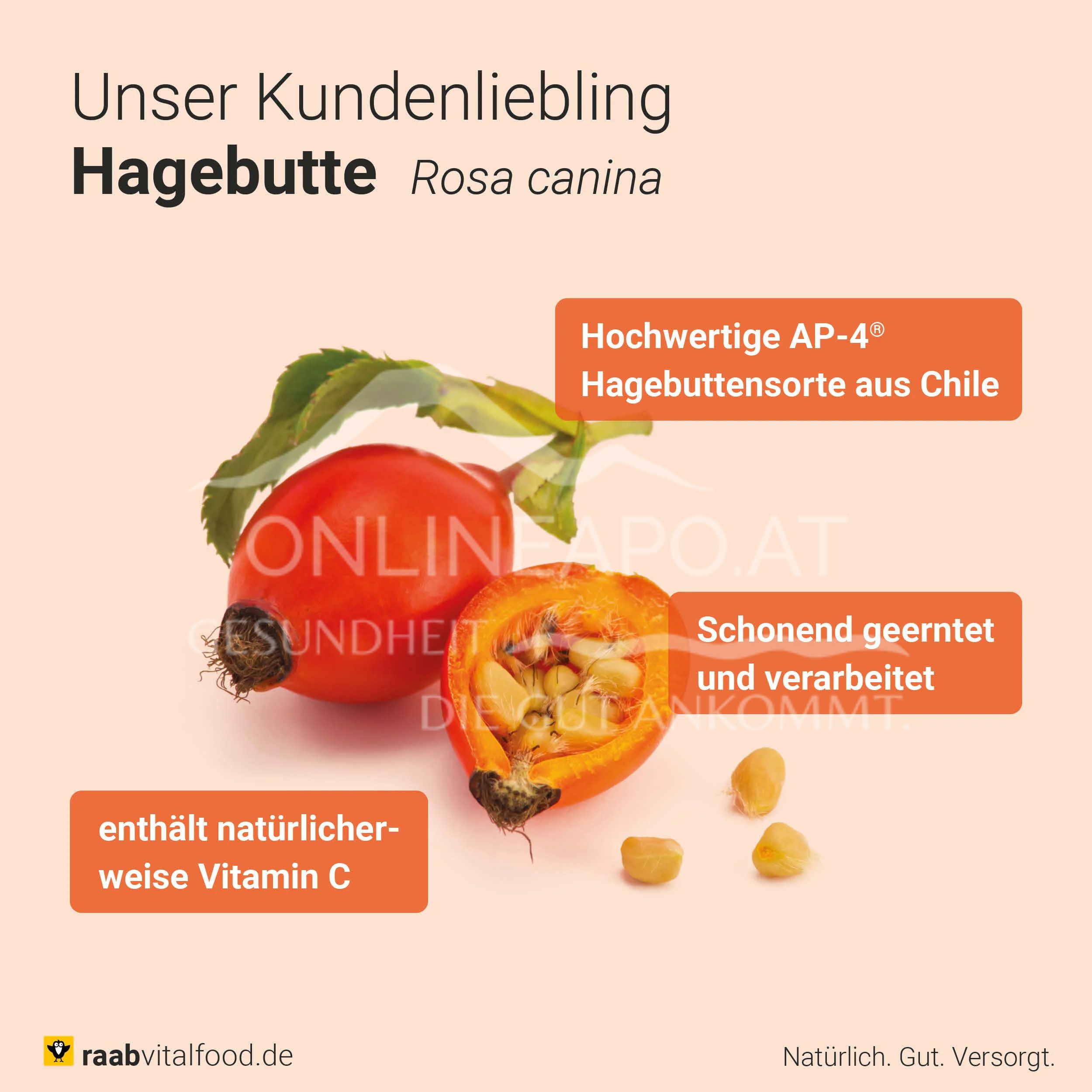 Raab® Vitalfood Bio Hagebutte Pulver