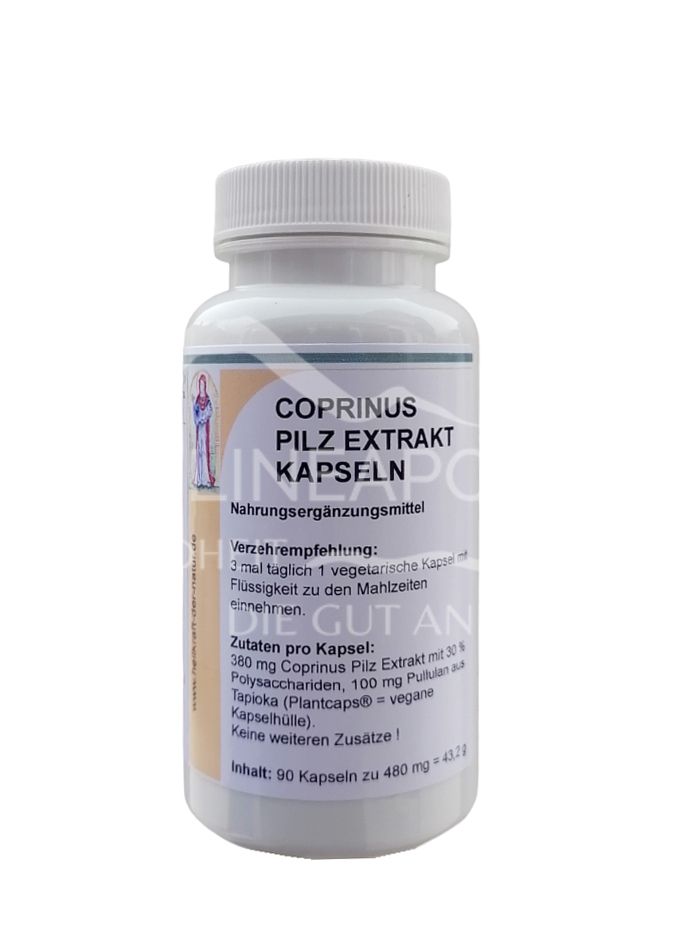 Reinhildis Apotheke Coprinus Pilz Extrakt 380 mg Kapseln