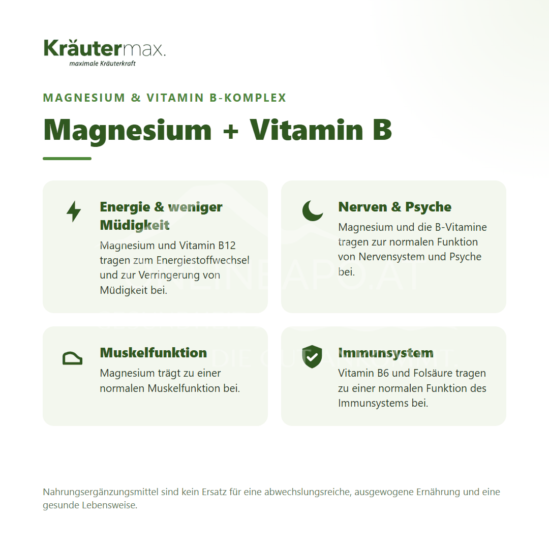 Kräutermax Magnesium mit Vitamin B Komplex Kapseln