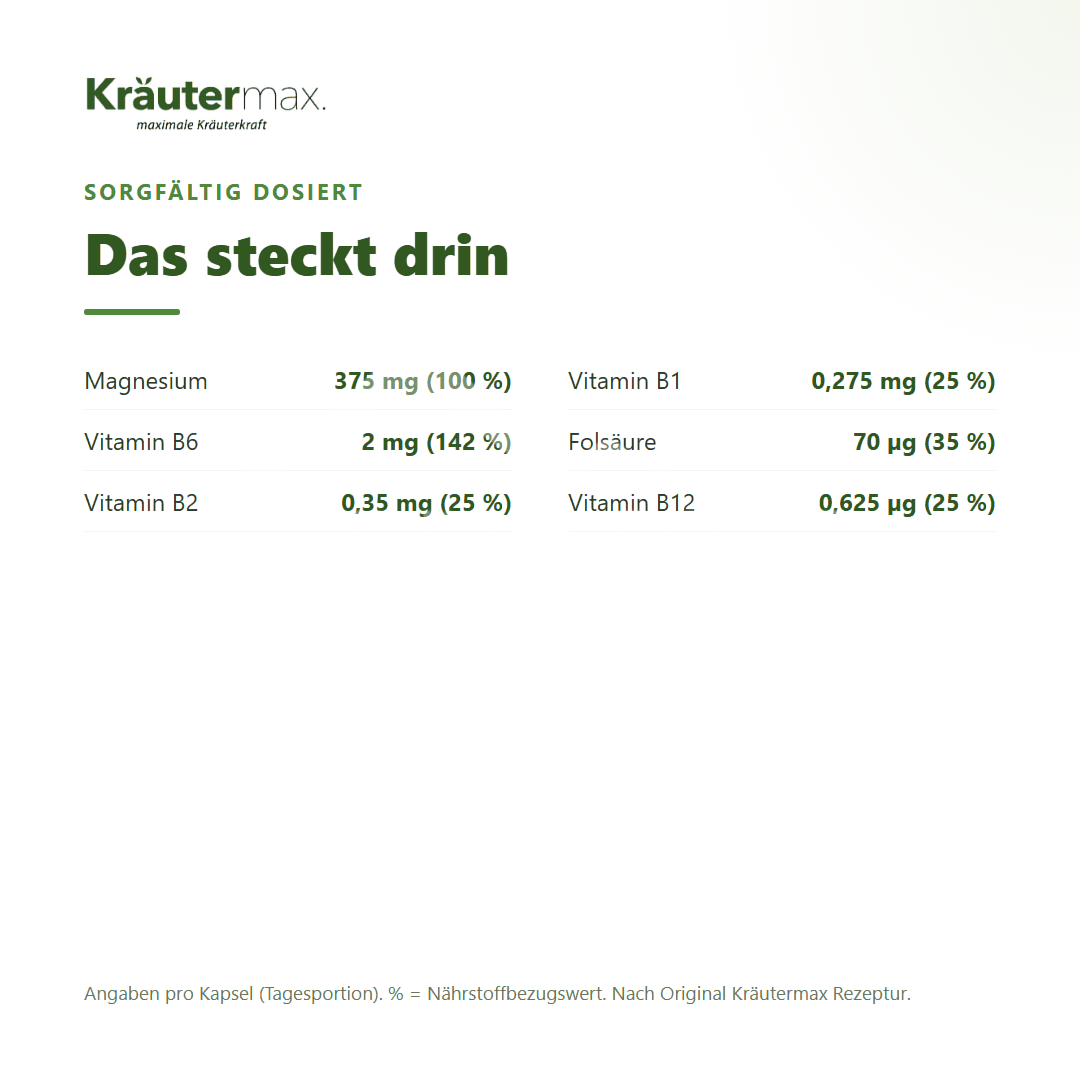 Kräutermax Magnesium mit Vitamin B Komplex Kapseln