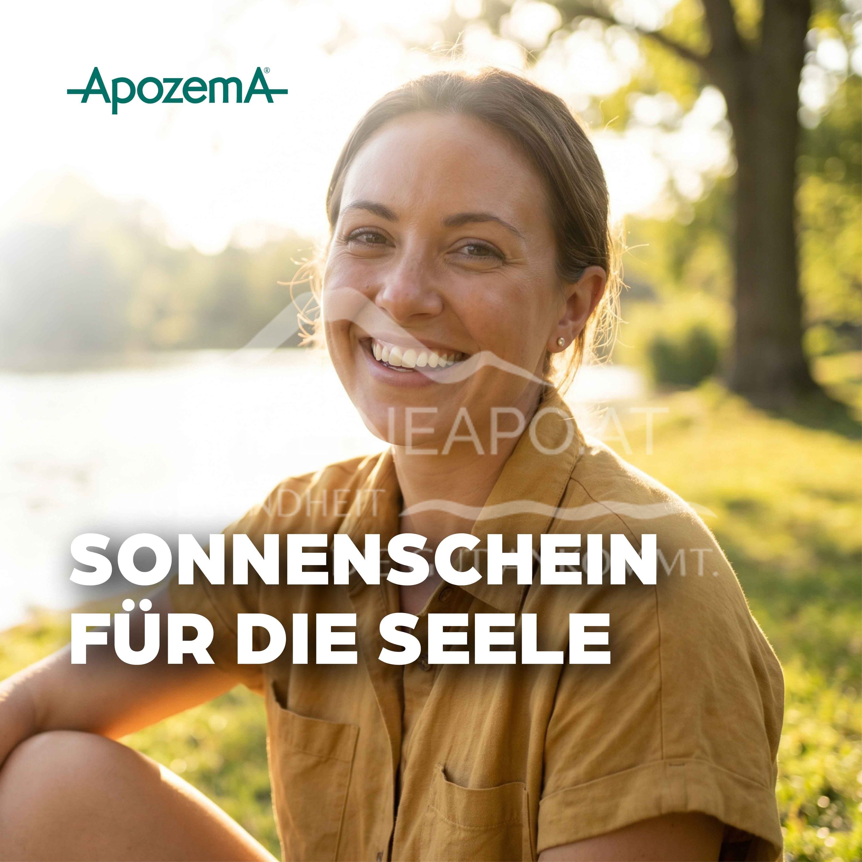 Apozema® Mood enhancement Ignatia complex No. 13 drops for oral use