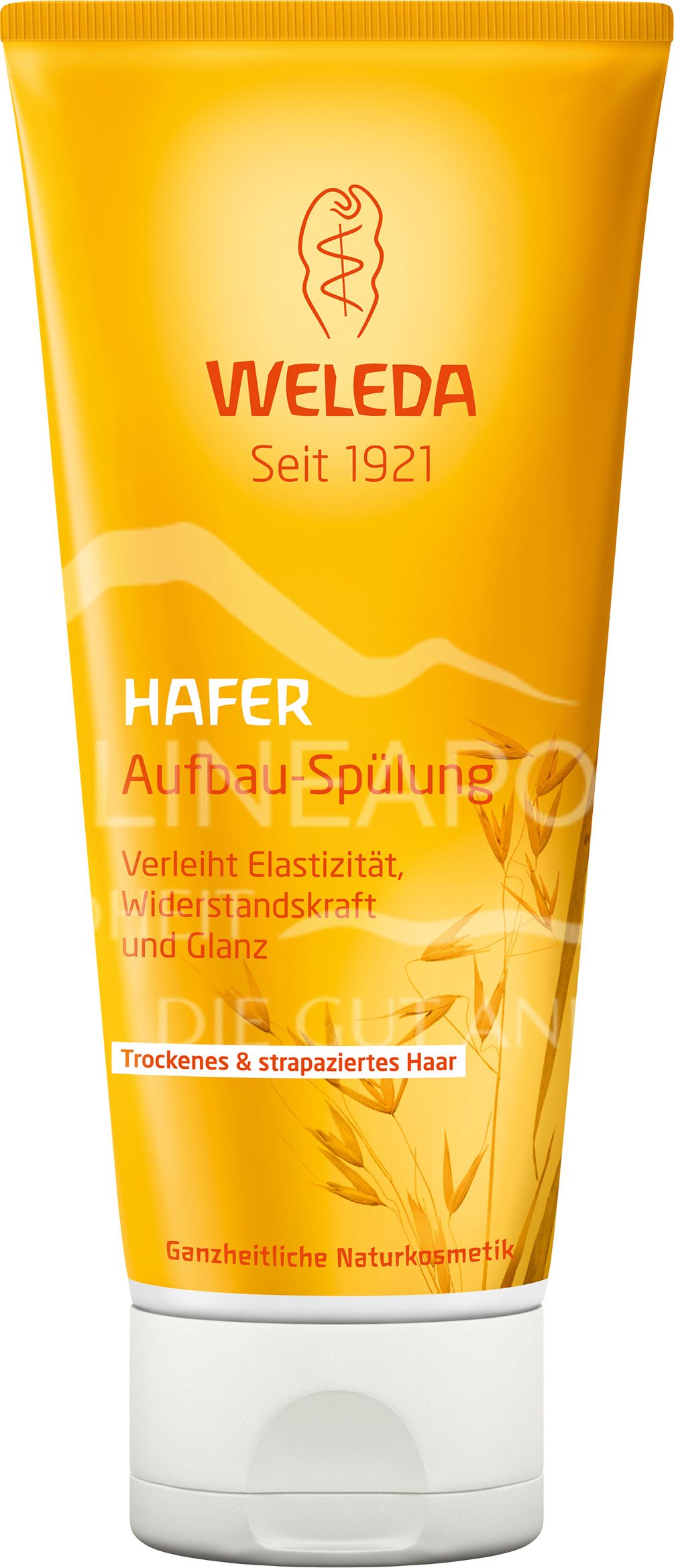 Weleda Hafer Aufbau-Spülung