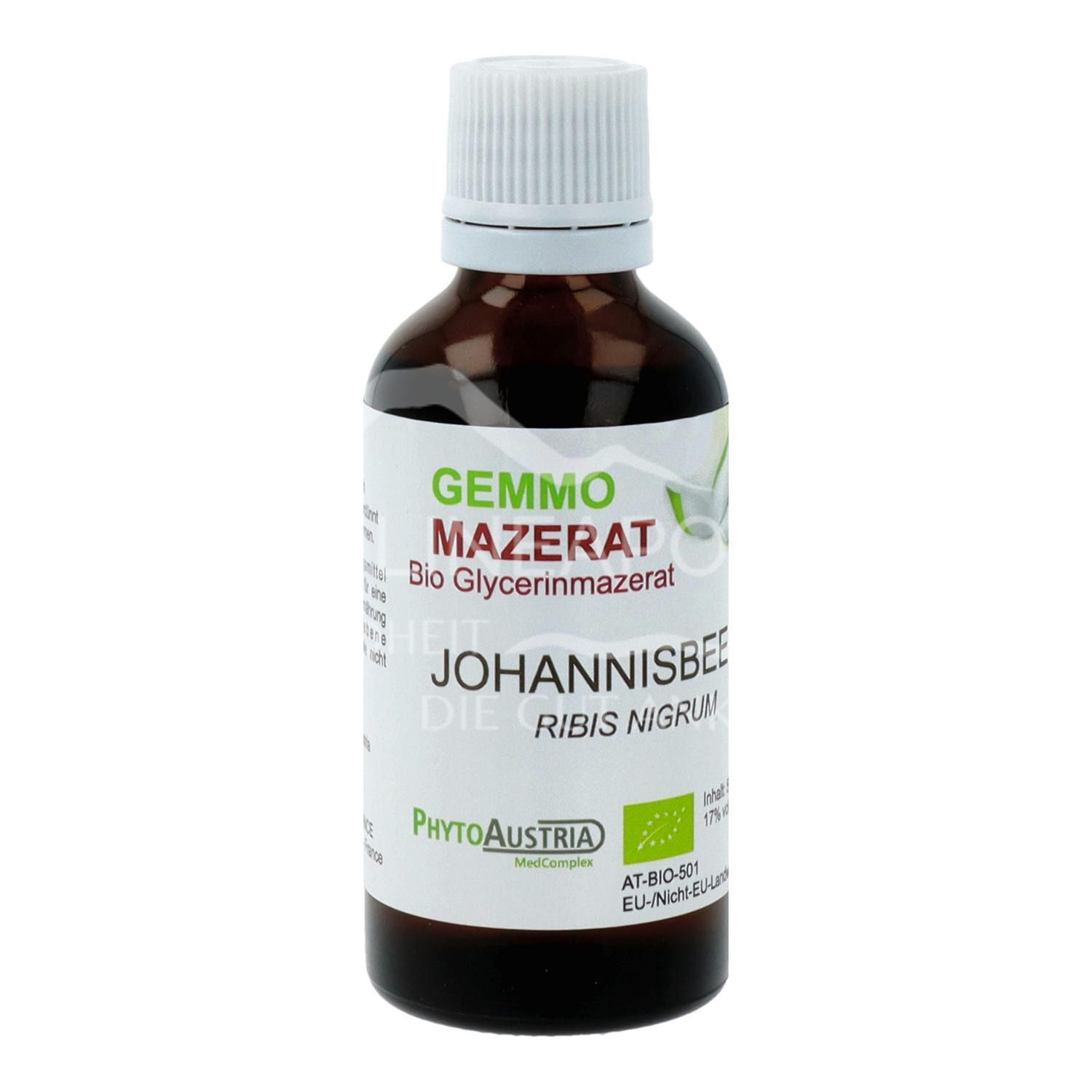 PhytoAustria Bio Gemmo Mazerat Johannisbeere (Ribis Nigrum) Tropfen