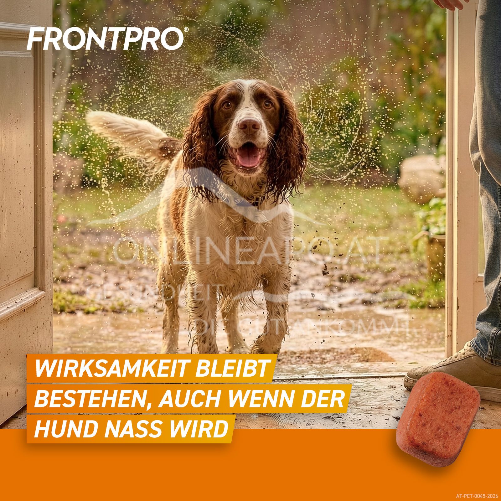 FRONTPRO® 68 mg chewable tablets for dogs > 10 - 25 kg